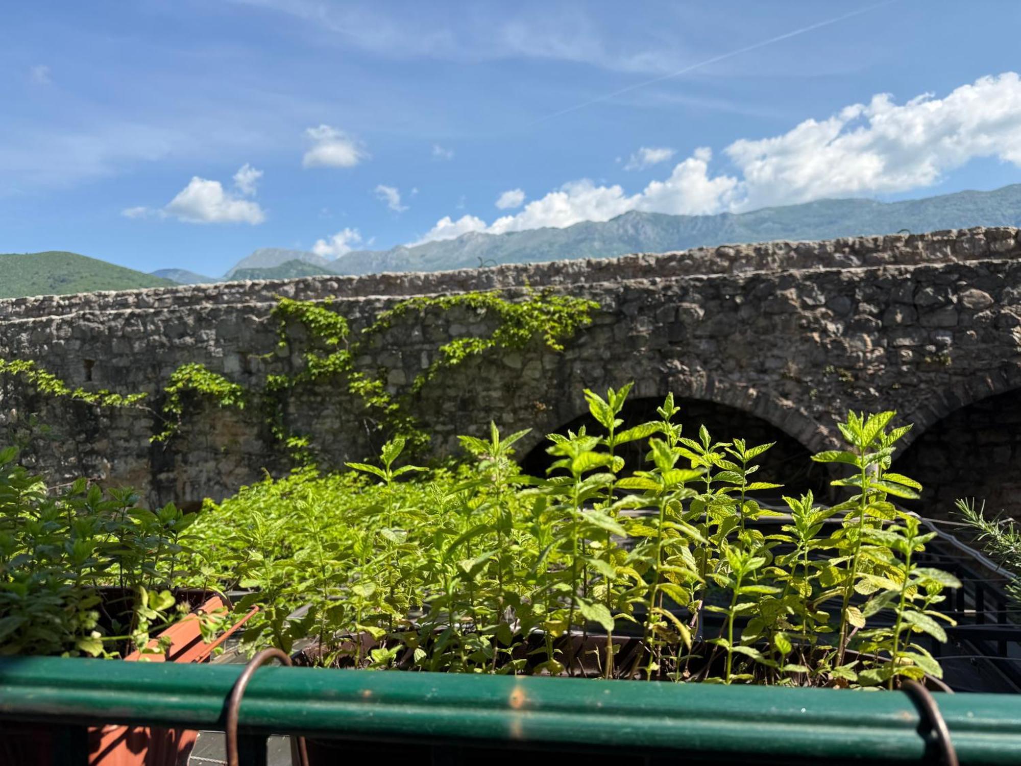 Aleksic Old Town Lägenhet Budva