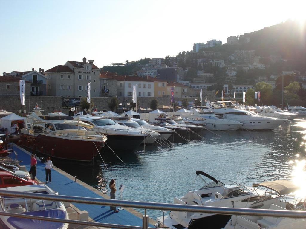 Aleksic Old Town *