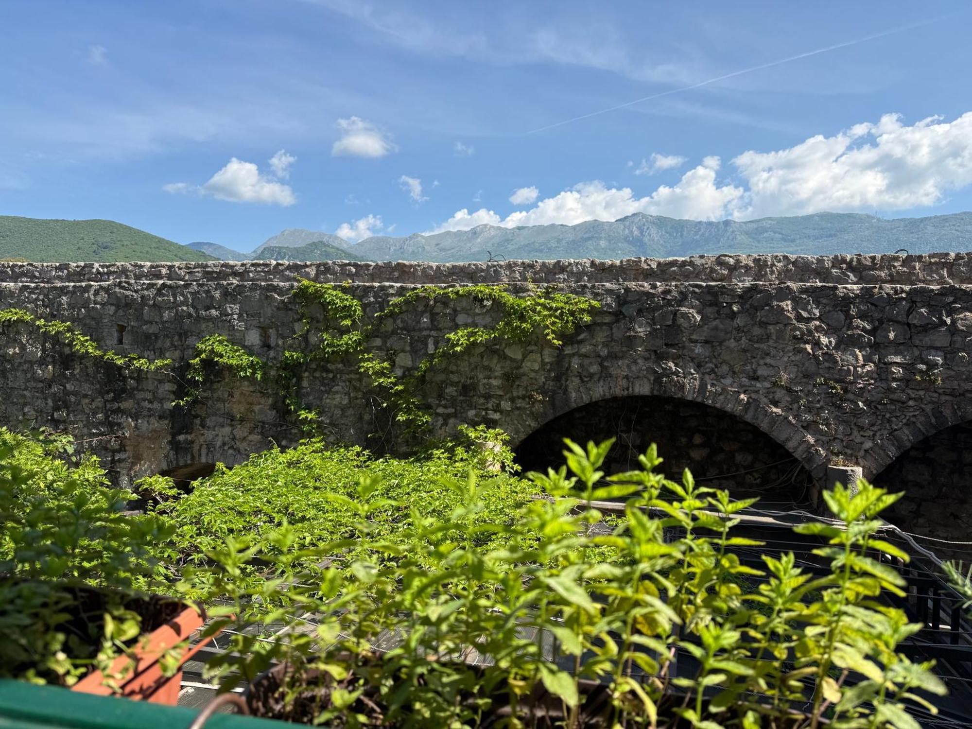 Daire Aleksic Old Town Budva