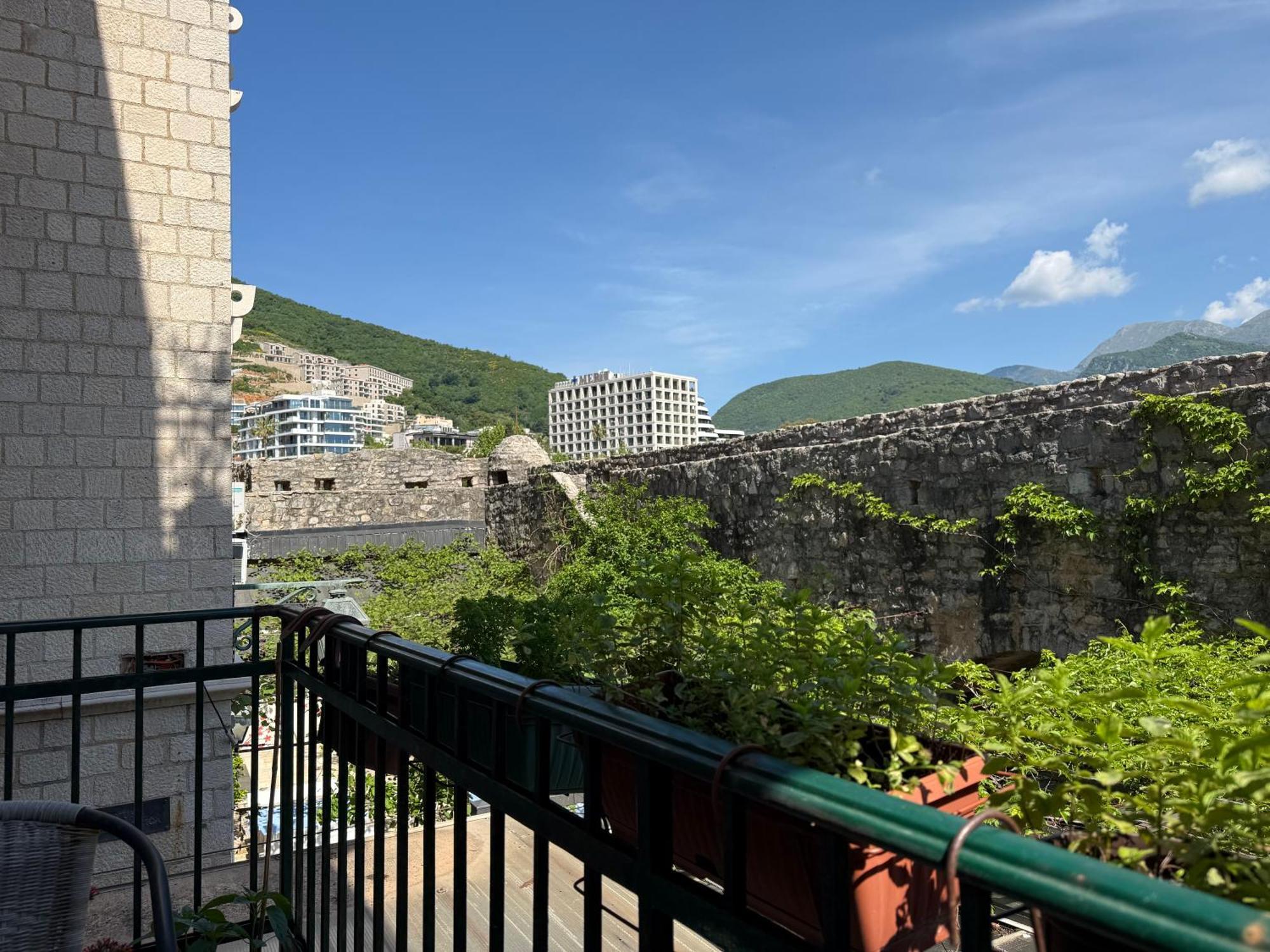 Apartment Aleksic Old Town *